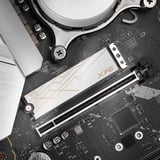 ADATA SMAR-980B-2TCS drives allo stato solido 2 TB M.2 PCI Express 5.0 NVMe 3D NAND, Disco a stato solido 2 TB, M.2, 14000 MB/s