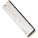 ADATA SMAR-980B-2TCS drives allo stato solido 2 TB M.2 PCI Express 5.0 NVMe 3D NAND, Disco a stato solido 2 TB, M.2, 14000 MB/s