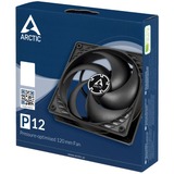 ARCTIC P12 Case per computer Ventilatore 12 cm Nero Nero, Ventilatore, 12 cm, 1800 Giri/min, 0,3 son, 56,3 pdc/min, 95,65 m³/h