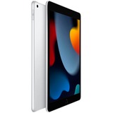 Apple iPad, Tablet PC argento