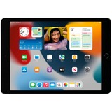 Apple iPad, Tablet PC argento