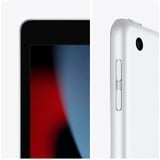 Apple iPad, Tablet PC argento