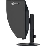 EIZO ColorEdge CG2400S Nero