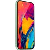 Google Pixel 9, Handy verde chiaro