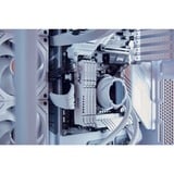 Kingston FURY KF556C40BWK2-64, Memoria bianco