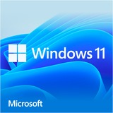 Microsoft Windows 11 Home 1 licenza/e, Software 1 licenza/e, 64 GB, 4096 GB, 1000 GHz, Tedesca, DVD