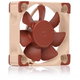 Noctua NF-A4x10 24V PWM, Ventola marrone/Beige