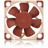 Noctua NF-A4x10 24V PWM, Ventola marrone/Beige