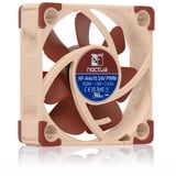 Noctua NF-A4x10 24V PWM, Ventola marrone/Beige