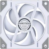 Phanteks PH-F120D30R_DRGB_PWM_WT01 bianco