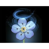 Revell Blossom Festival fiori di legno, Bricolage legno, Vendita al dettaglio