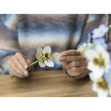 Revell Blossom Festival fiori di legno, Bricolage legno, Vendita al dettaglio