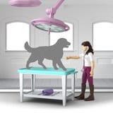 Schleich 42787, Gioco da costruzione 