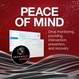 Seagate IronWolf NAS 4 x 4 TB Bundle, Hard-disk 