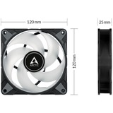 ARCTIC P12 PWM PST A-RGB 0dB Case per computer Ventilatore 12 cm Nero, Bianco 1 pz, Ventola Nero, Ventilatore, 12 cm, 2000 Giri/min, 48,8 pdc/min, 82,91 m³/h, Nero, Bianco