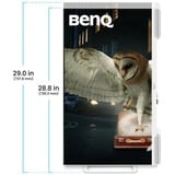 BenQ EW3290U LED display 79,2 cm (31.2") 3840 x 2160 Pixel 4K Ultra HD Bianco, Monitor LED bianco, 79,2 cm (31.2"), 3840 x 2160 Pixel, 4K Ultra HD, LED, 5 ms, Bianco