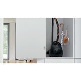 Bosch Serie 2 BGDS2CHAMP aspirapolvere a traino 3,5 L Aspiratore a cilindro Secco 600 W Sacchetto per la polvere Nero, 600 W, Aspiratore a cilindro, Secco, Sacchetto per la polvere, 3,5 L, Filtro igienico