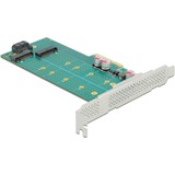 DeLOCK 89047 scheda di interfaccia e adattatore Interno M.2, SATA PCIe, M.2, SATA, A basso profilo, PCIe 4.0, 5 - 50 °C, -25 - 70 °C