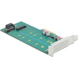 DeLOCK 89047 scheda di interfaccia e adattatore Interno M.2, SATA PCIe, M.2, SATA, A basso profilo, PCIe 4.0, 5 - 50 °C, -25 - 70 °C