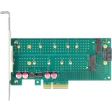 DeLOCK 89047 scheda di interfaccia e adattatore Interno M.2, SATA PCIe, M.2, SATA, A basso profilo, PCIe 4.0, 5 - 50 °C, -25 - 70 °C