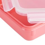 Emsa 4009049537962, Casella Coral/trasparente