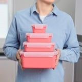 Emsa 4009049537962, Casella Coral/trasparente