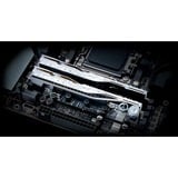G.Skill F5-8000J4048G24GX2-TR5NS, Memoria argento
