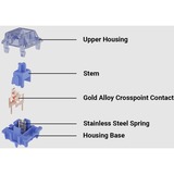 Keychron Gateron CJ Light Blue Switch-Set, Interruttore a pulsante celeste