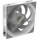 RAIJINTEK 0R10B00232, Raffreddamento ad acqua bianco