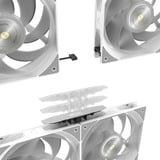 RAIJINTEK 0R10B00232, Raffreddamento ad acqua bianco
