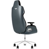 Thermaltake GGC-ARG-RSLFDL-01, Sedili di gioco grigio/Nero