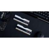 G.Skill Trident Z5 RGB argento