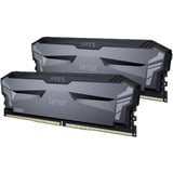 Lexar LD5U16G60C320A-RGD Nero