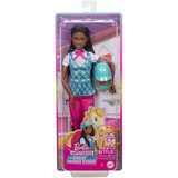 Mattel HXJ39 bambola Bambola alla moda, Femmina, 3 anno/i, Ragazza, 305 mm, 134 g