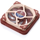 Noctua NV-MPG1-12.brown marrone
