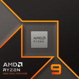 AMD Ryzen™ 9 9900X, Processore boxed