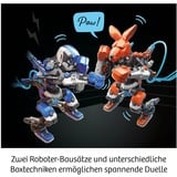 KOSMOS Boxing Bots, Casella di esperimento Robot, Ingegneria, 10 anno/i