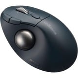 Kensington K72196WW, Trackball Nero/Blu