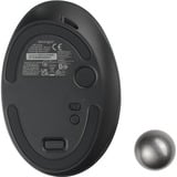 Kensington K72196WW, Trackball Nero/Blu