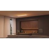 Philips Hue Hue White & Color Ambiance Datura Lampada da soffitto, Luce LED bianco