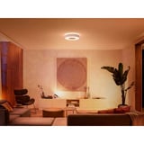 Philips White & Color Ambiance Infuse Lampada da soffitto M, Luce LED bianco