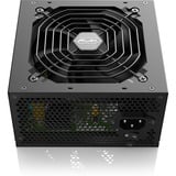 RAIJINTEK 0R30B00011, Alimentatore PC Nero