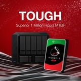 Seagate IronWolf NAS 2 x 4 TB Bundle, Hard-disk 
