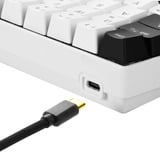 Sharkoon SGK50 S4 tastiera USB QWERTY Inglese US Bianco bianco/Nero, 60%, USB, QWERTY, LED RGB, Bianco