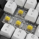 Sharkoon SKILLER SGK50 S3, Tastiera da gioco bianco