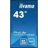 iiyama LH4341UHS-B2, Public Display nero lucido