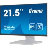 iiyama T2252MSC-W2, Monitor LED bianco