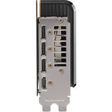 ASUS 90YV0MQ0-M0NA00, Scheda grafica grigio