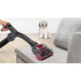 Bosch BGC41PET, Aspirapolvere rosso/Nero