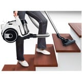 Bosch BGS05A222, Aspirapolvere bianco/Nero